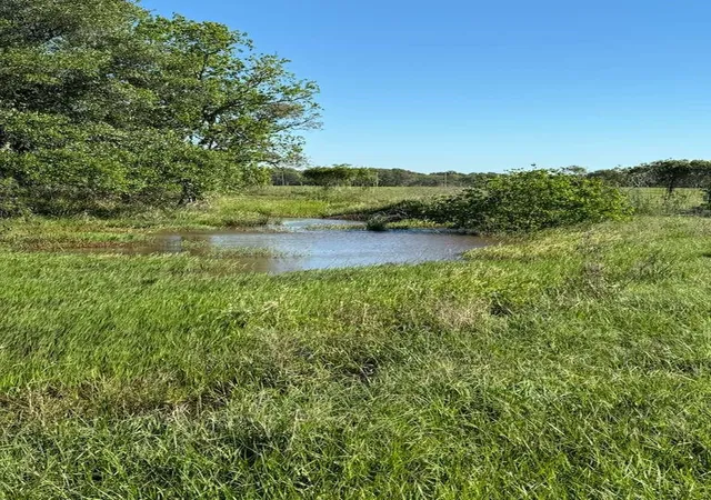 8th image of Tbd Tbd, Columbus, TX 78934 | MLS# 41829492