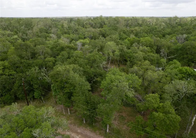 Homes for sale in Damon, TX | 0 Kings Oak Dr, Damon, TX 77430 | MLS# 41570003