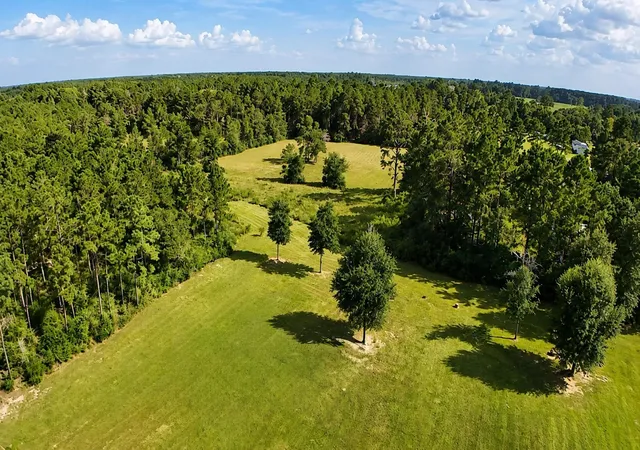 Photo 3 of Sale Pending at 814 County Road 642, Buna, TX 77612 | MLS# 27665288 | Listing updated on 2026-09-15