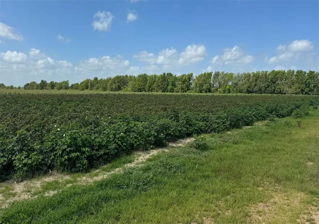 4th image of Tbd Lot 3 County Road 414, El Campo, TX 77437 | MLS# 66188993
