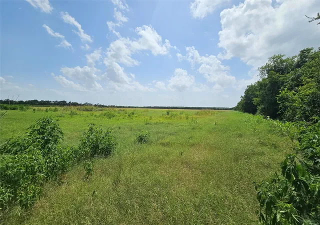 image of N Lot Peters Rd, Crosby, TX 77532 | MLS# 63639534