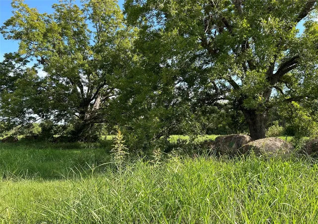 5th image of 000 Hwy 105, Brenham, TX 77833 | MLS# 9926499