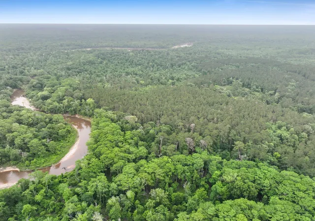 3rd image of Tbd Private Road 8059, Call, TX 75933 | MLS# 69079388