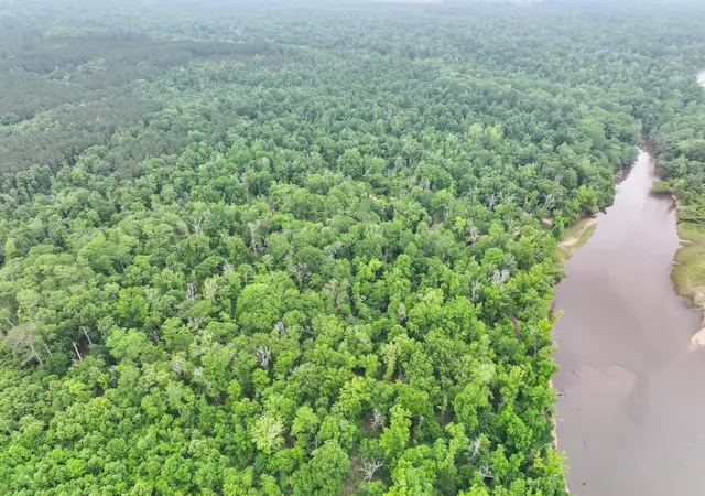 5th image of Tbd Private Road 8059, Call, TX 75933 | MLS# 69079388