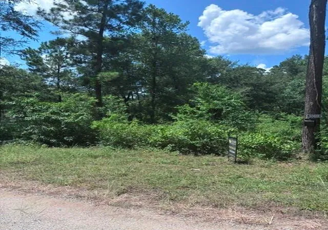 Photo 3 of Land for sale at 30651 S Walnut Crk Dr, Waller, TX 77484 | MLS# 13075212 | Listing updated on 2026-08-06