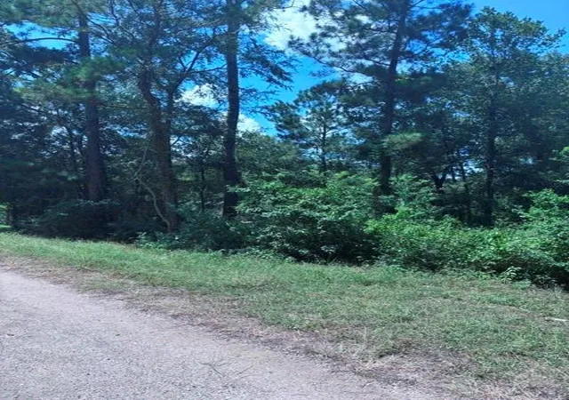 Photo 4 of Land for sale at 30651 S Walnut Crk Dr, Waller, TX 77484 | MLS# 13075212 | Listing updated on 2026-08-06