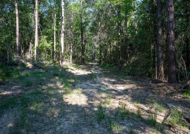 1st image of Tbd County Rd 3000, Woodville, TX 75979 | MLS# 93531940