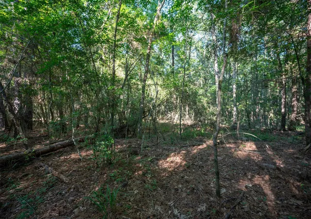 2nd image of Tbd County Rd 3000, Woodville, TX 75979 | MLS# 93531940