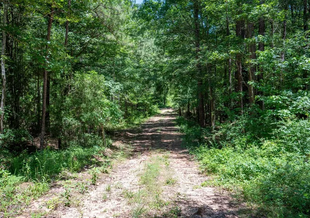 3rd image of Tbd County Rd 3000, Woodville, TX 75979 | MLS# 93531940