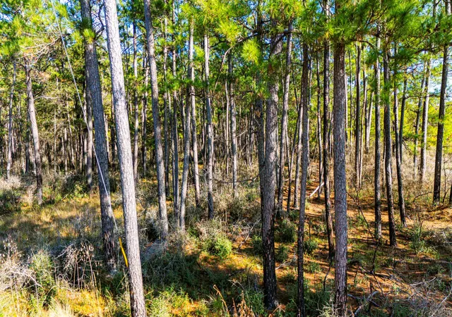 10th image of 0213 Fm 3459, Onalaska, TX 77360 | MLS# 12137157