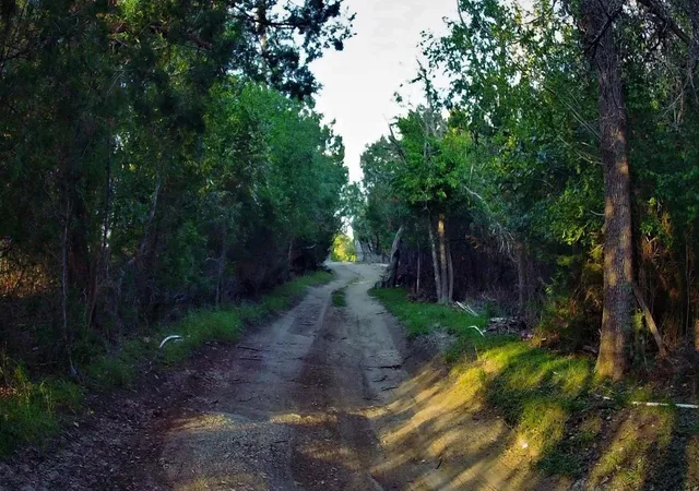 Photo 3 of Land for sale at 1275 County Rd 4820, Kempner, TX 76539 | MLS# 1085572 | Listing updated on 2026-02-25