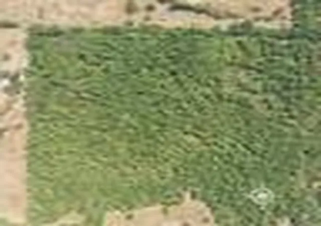 Photo 3 of Sale Pending at Ab 217 Private Road, Crockett, TX 75835 | MLS# 10581799 | Listing updated on 2026-05-13