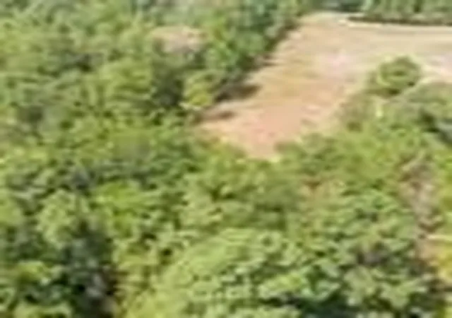 Photo 3 of Sale Pending at Ab 217 Private Road, Crockett, TX 75835 | MLS# 10581799 | Listing updated on 2026-05-13