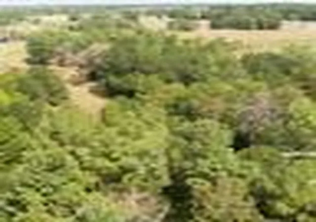 Photo 4 of Sale Pending at Ab 217 Private Road, Crockett, TX 75835 | MLS# 10581799 | Listing updated on 2026-05-13