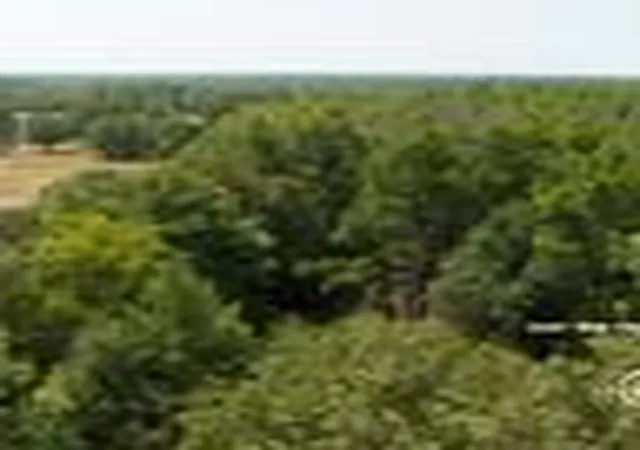 6th image of Ab 217 Private Road, Crockett, TX 75835 | MLS# 10581799