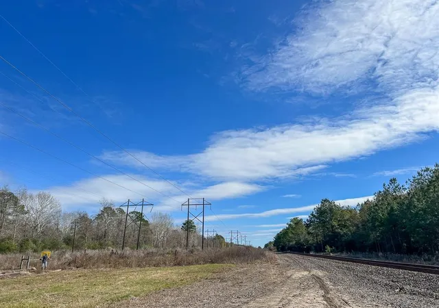 Photo 3 of Land for sale at 0 Joe Allen Road, Honey Island, TX 77625 | MLS# 29091380 | Listing updated on 2025-12-15
