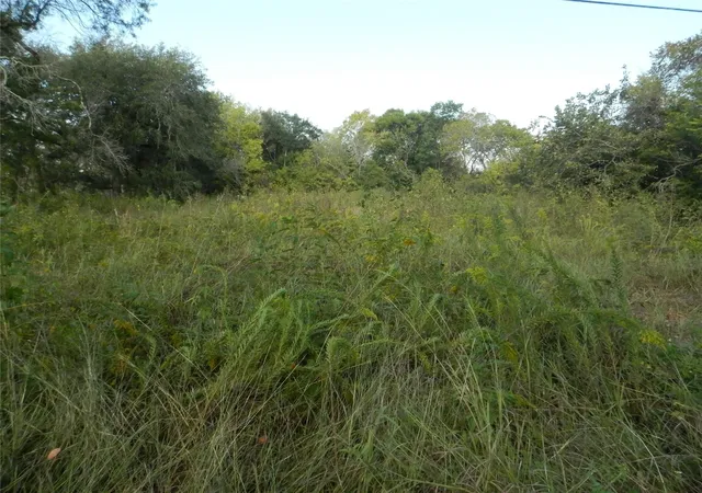 Photo 3 of Land for sale at 1034 Niagara St, Houston, TX 77051 | MLS# 94887478 | Listing updated on 2026-06-25