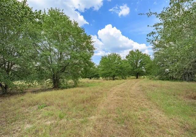 3rd image of 10842 Rauch Rd, La Grange, TX 78945 | MLS# 85461538