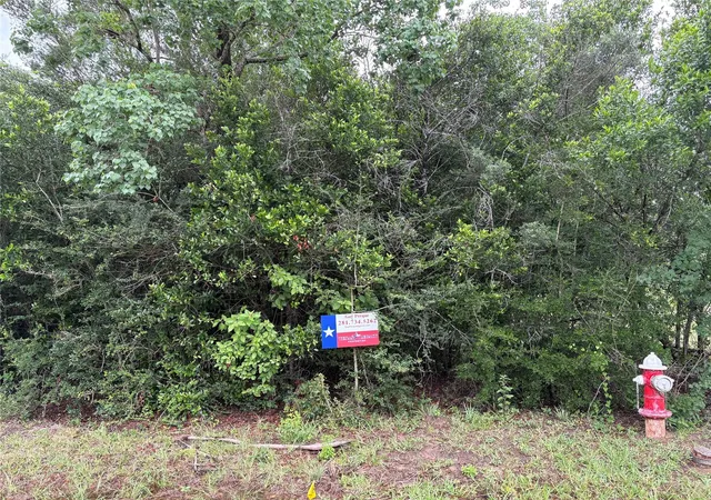 Homes for sale in Tomball, TX | 0 Moore St, Tomball, TX 77375 | MLS# 60970002