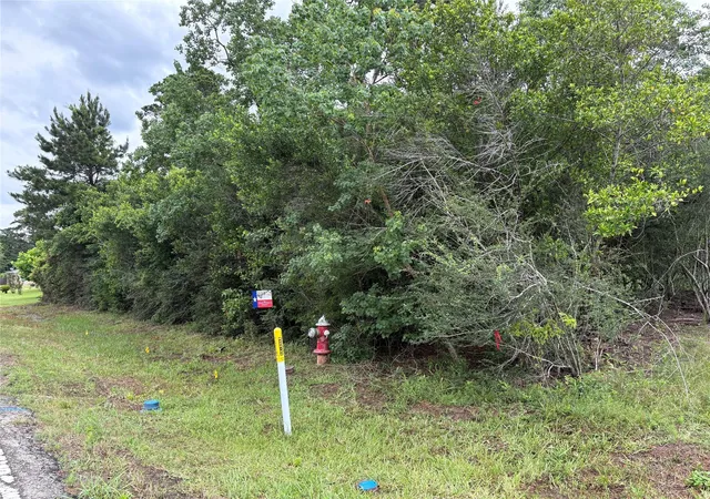 Photo 3 of Land for sale at 0 Moore, Tomball, TX 77375 | MLS# 60970002 | Listing updated on 2026-07-10
