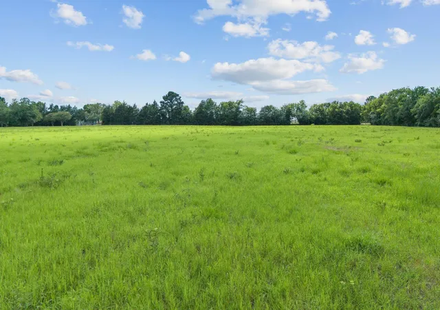 15th image of Tbd Marion Ln, New Waverly, TX 77358 | MLS# 61964969