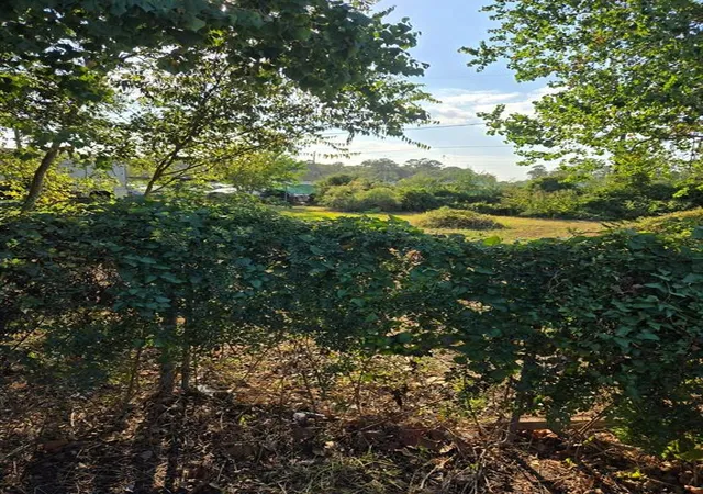Photo 3 of Land for sale at 10021 Meadowvine Dr, Houston, TX 77044 | MLS# 71243376 | Listing updated on 2026-05-26