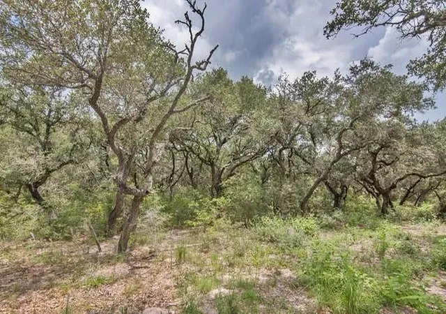 2nd image of Tract 12 Pr 4061, Edna, TX 77957 | MLS# 6333067