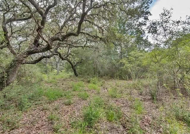 3rd image of Tract 12 Pr 4061, Edna, TX 77957 | MLS# 6333067
