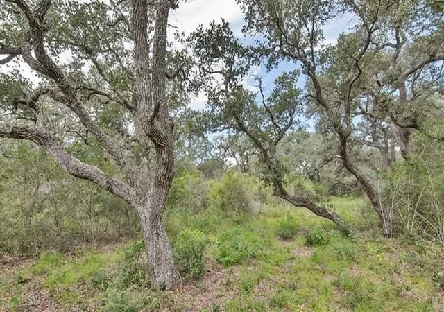 4th image of Tract 12 Pr 4061, Edna, TX 77957 | MLS# 6333067
