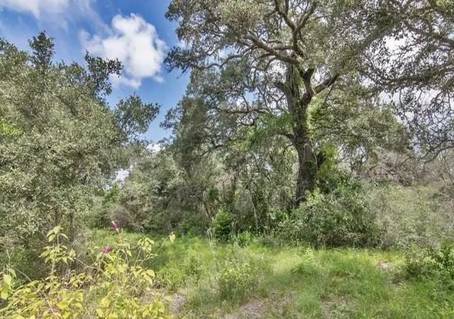 8th image of Tract 12 Pr 4061, Edna, TX 77957 | MLS# 6333067