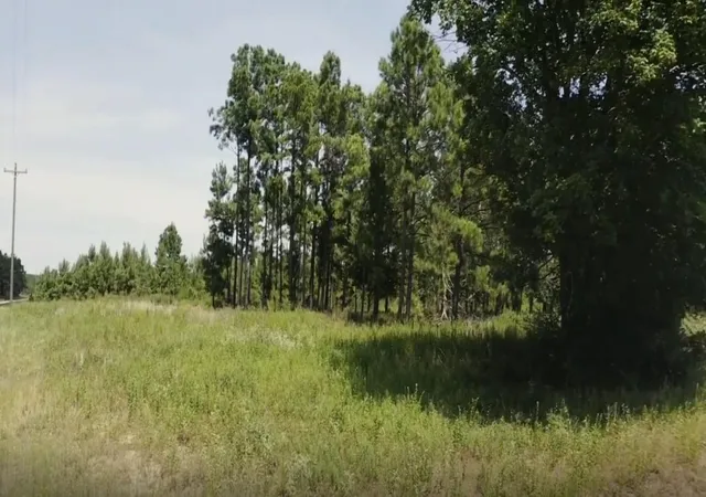 Photo 3 of Land for sale at Tbd Hunt Ct, Lovelady, TX 75851 | MLS# 59214026 | Listing updated on 2026-09-28