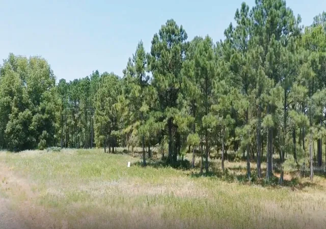 Photo 4 of Land for sale at Tbd Hunt Ct, Lovelady, TX 75851 | MLS# 59214026 | Listing updated on 2026-09-28