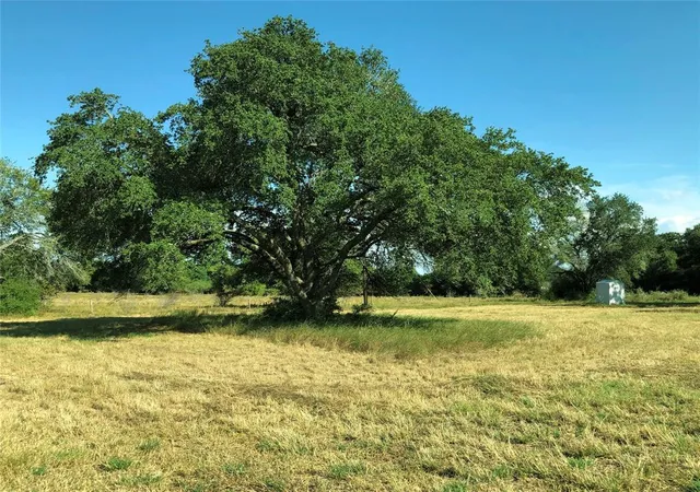 Photo 2 of Land for sale at Lot 7 Pvt 1672, Hallettsville, TX 77964 | MLS# 64987954 | Listing updated on 2026-05-18