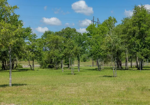 Homes for sale in Bedias, TX | 6731 Atakapan Trail, Bedias, TX 77831 | MLS# 19488590