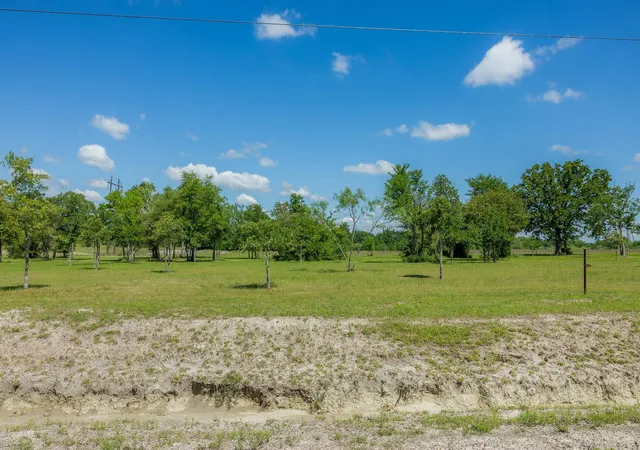 Homes for sale in Bedias, TX | 6731 Atakapan Trail, Bedias, TX 77831 | MLS# 19488590