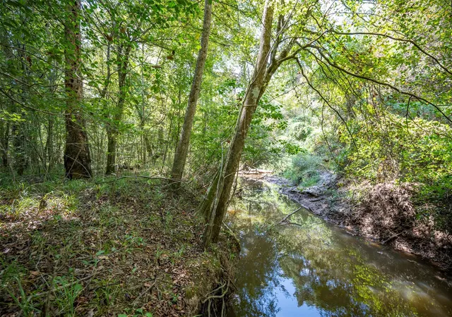Land for sale at Tbd County Road 4520, Warren, TX 77664 | MLS# 10623002