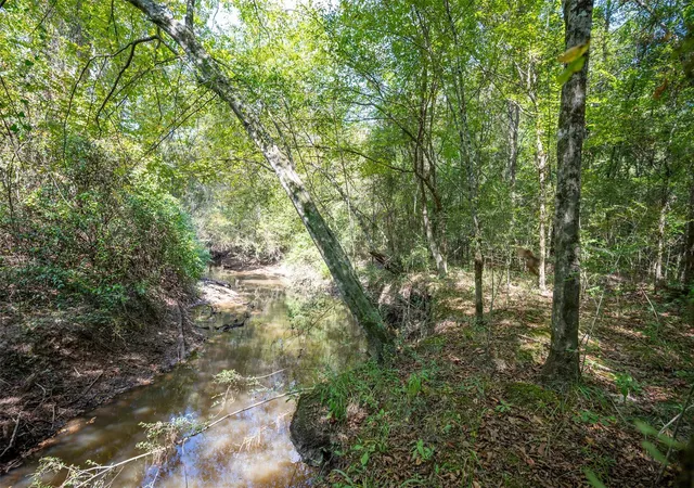 Photo 2 of Land for sale at Tbd County Road 4520, Warren, TX 77664 | MLS# 10623002 | Listing updated on 2026-08-27