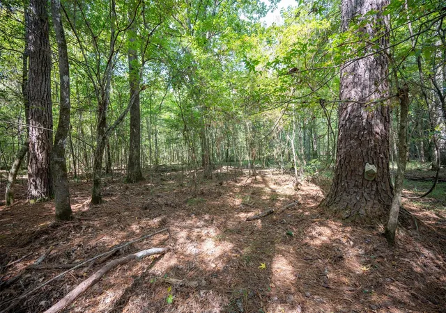 Photo 3 of Land for sale at Tbd County Road 4520, Warren, TX 77664 | MLS# 10623002 | Listing updated on 2026-08-27
