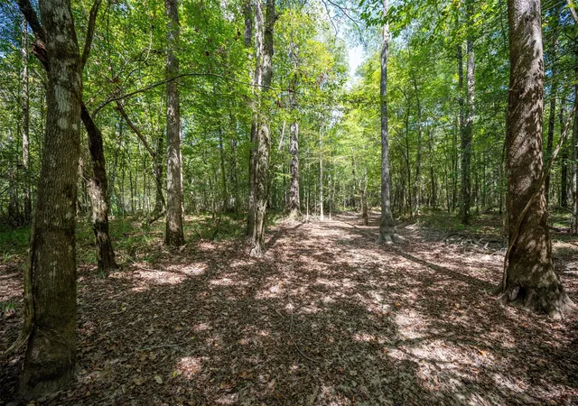 Photo 4 of Land for sale at Tbd County Road 4520, Warren, TX 77664 | MLS# 10623002 | Listing updated on 2026-08-27