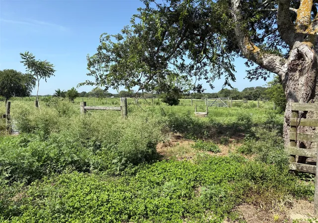 1st image of 1466 County Road 253a, Weimar, TX 78956 | MLS# 37441377