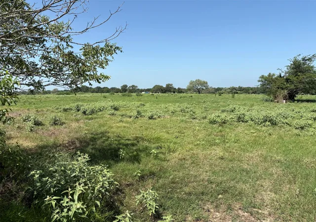 5th image of 1466 County Road 253A, Weimar, TX 78956 | MLS# 37441377