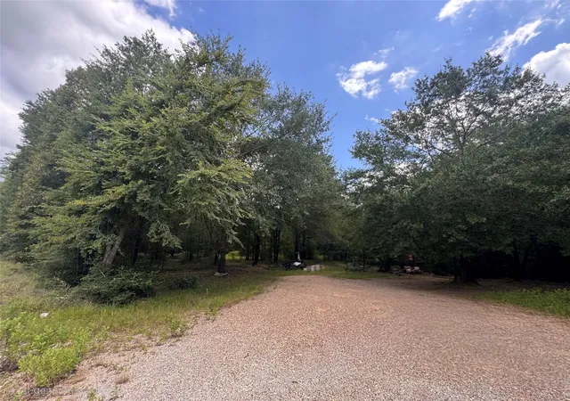 Photo 1 of Land for sale at 21145 Fm 1774, Plantersville, TX 77363 | MLS# 87566478 | Listing updated on 2026-07-16