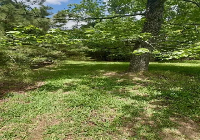 Photo 2 of Land for sale at 12126 Pin Oak Dr, Magnolia, TX 77354 | MLS# 59796892 | Listing updated on 2026-06-30