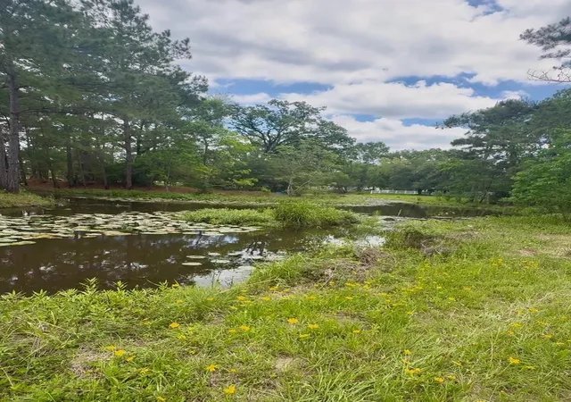Photo 2 of Land for sale at 12126 Pin Oak Dr, Magnolia, TX 77354 | MLS# 59796892 | Listing updated on 2026-06-30