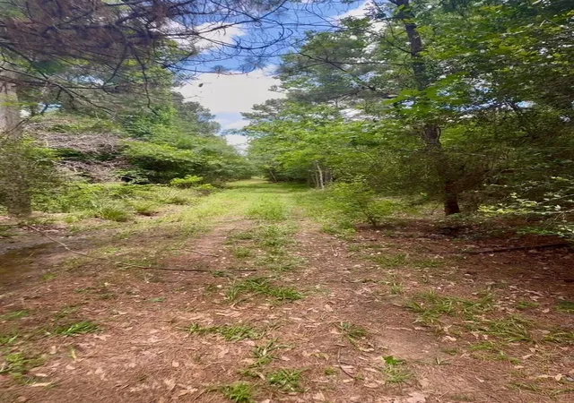 Photo 3 of Land for sale at 12126 Pin Oak Dr, Magnolia, TX 77354 | MLS# 59796892 | Listing updated on 2026-06-30