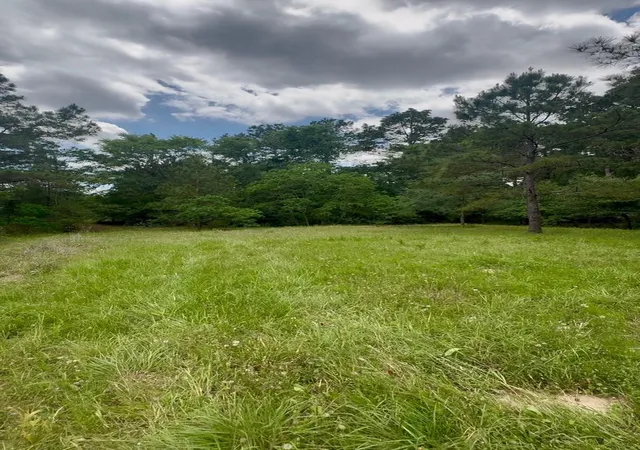 Photo 4 of Land for sale at 12126 Pin Oak Dr, Magnolia, TX 77354 | MLS# 59796892 | Listing updated on 2026-06-30