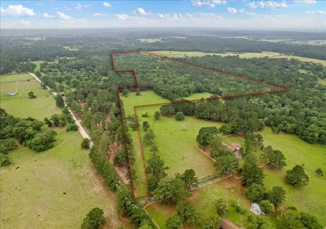 Photo 3 of Land for sale at Tbd Cr446 Navasota Tx 77868, Navasota, TX 77868 | MLS# 57853373 | Listing updated on 2026-05-20
