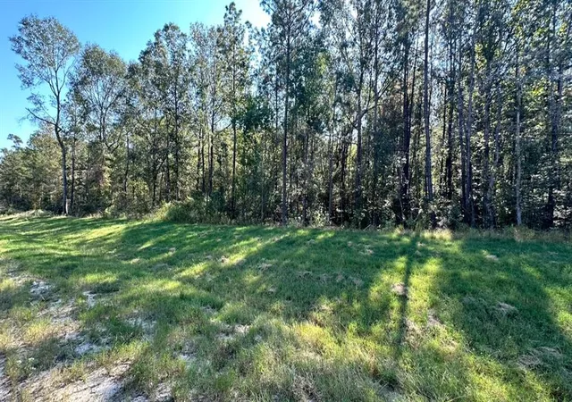 1st image of 11530 E Bramble Ct, Willis, TX 77378 | MLS# 55141094