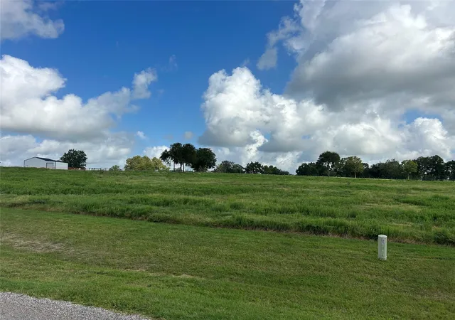 1st image of 10549 Sunny Meadow Dr, Chappell Hill, TX 77426 | MLS# 43100464