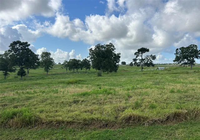 2nd image of 10549 Sunny Meadow Dr, Chappell Hill, TX 77426 | MLS# 43100464